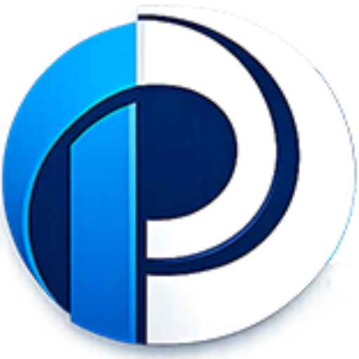 perfect digital consultant, technical solution provider company web logo